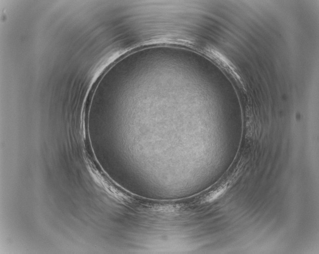 X0000059090892200510172052