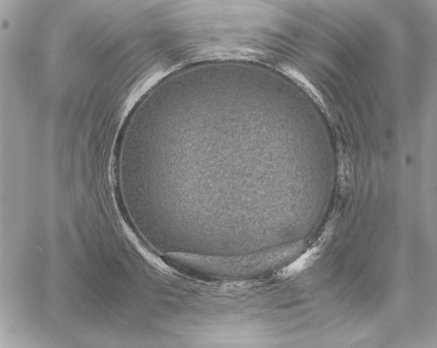 X0000059090893200510172052