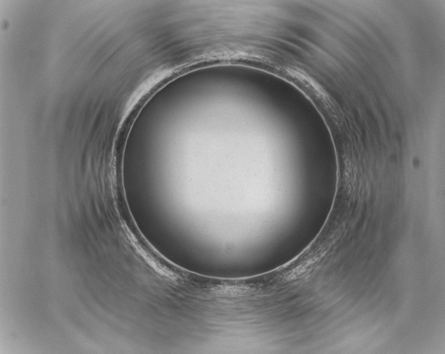 X0000059090894200510172052