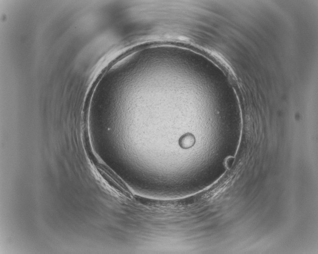 X0000059090895200510172052