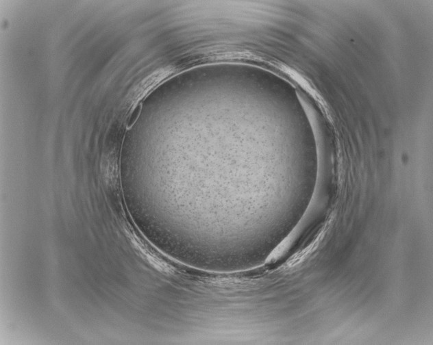 X0000059090897200510172052