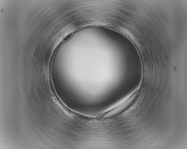 X0000059090898200510172052