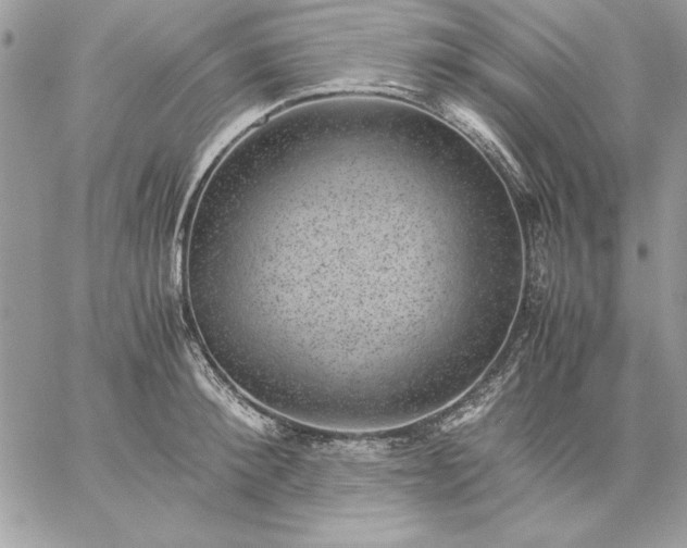 X0000059090900200510172052