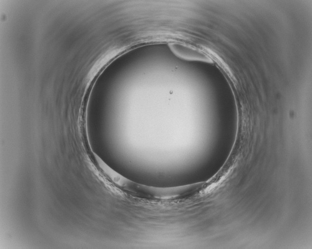 X0000059090901200510172052