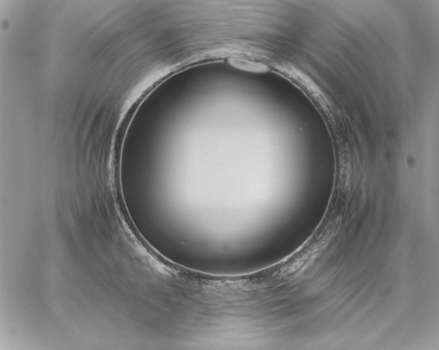 X0000059090902200510172051