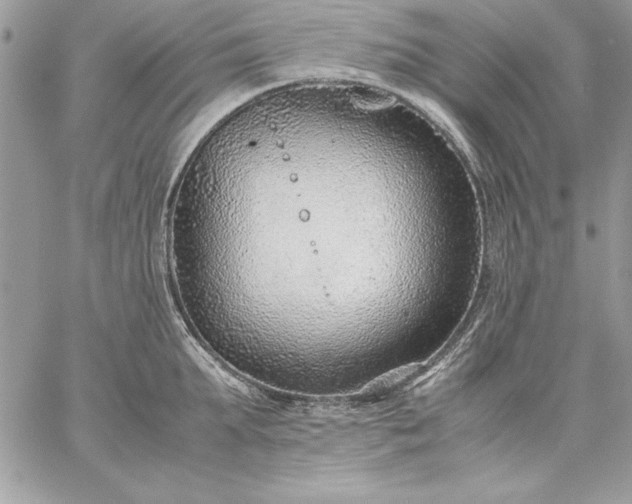 X0000059090903200510172051