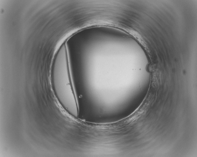 X0000059090904200510172051