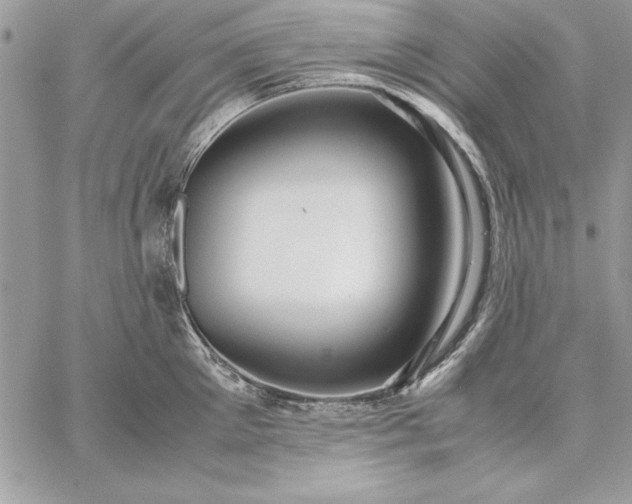 X0000059090905200510172051