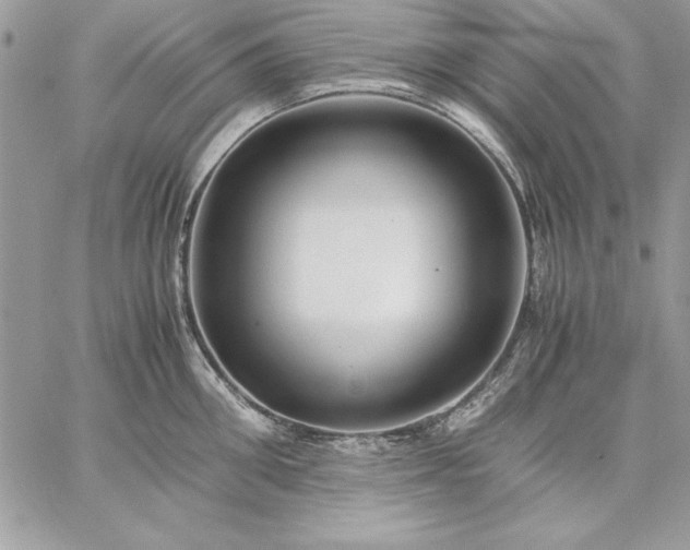 X0000059090906200510172051