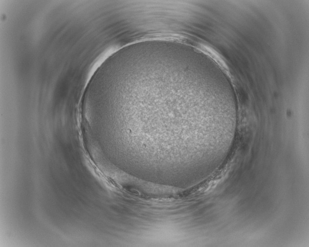 X0000059090907200510172051