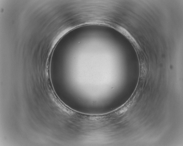 X0000059090908200510172051