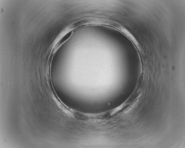 X0000059090909200510172051