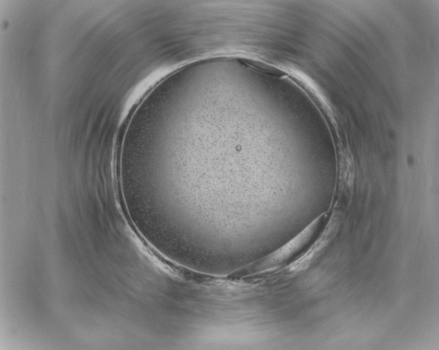 X0000059090910200510172051