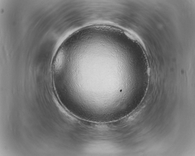 X0000059090911200510172051