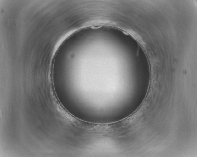 X0000059090912200510172051