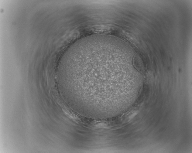 X0000059090913200510172051