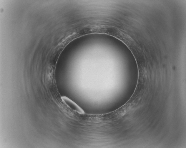 X0000059090914200510172051