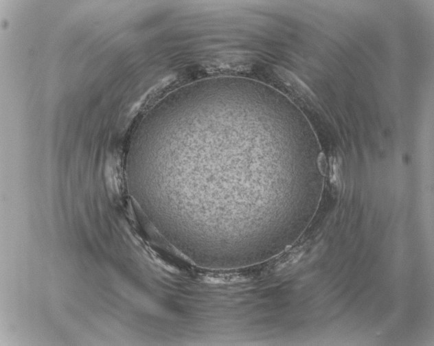 X0000059090915200510172051