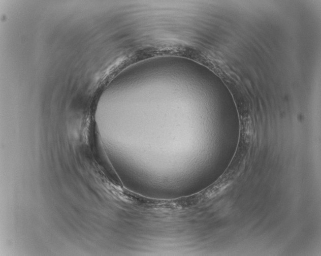 X0000059090916200510172051