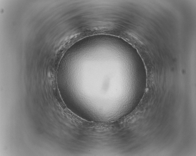 X0000059090917200510172051