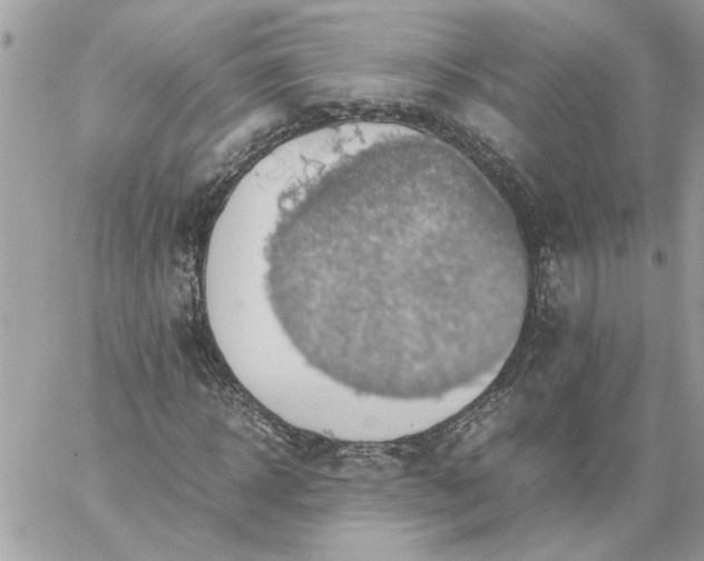 X0000059090918200510172051