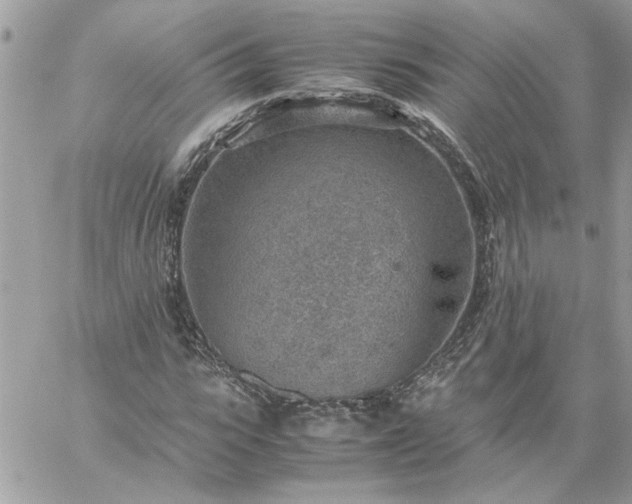 X0000059090919200510172051