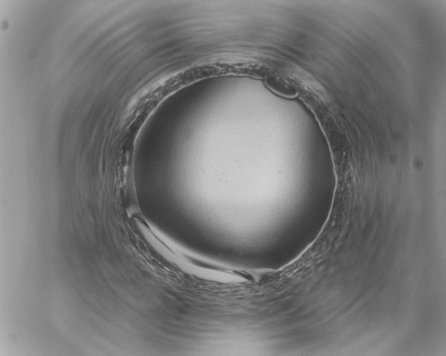 X0000059090920200510172051