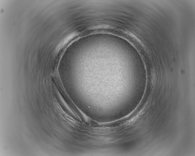 X0000059090921200510172051