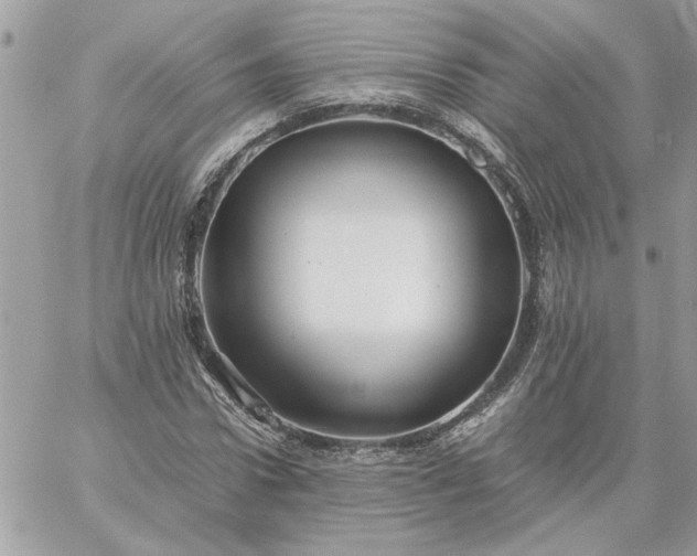 X0000059090922200510172051