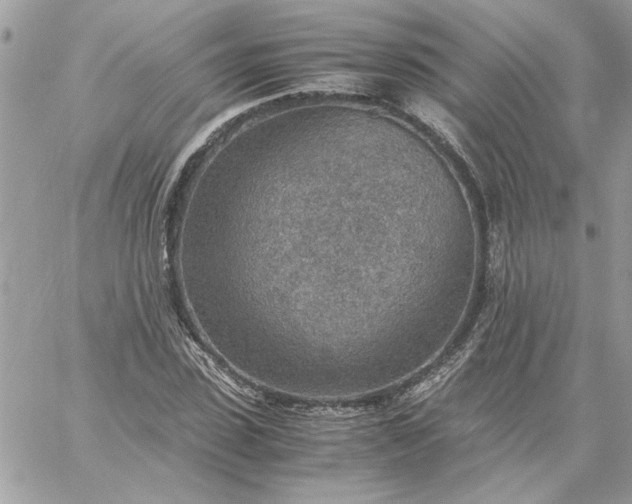 X0000059090923200510172051