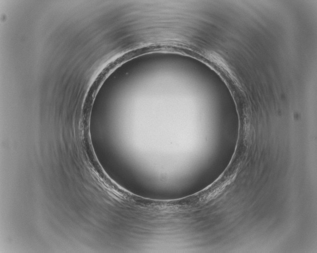 X0000059090924200510172051