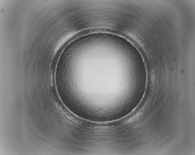 X0000059090925200510172051