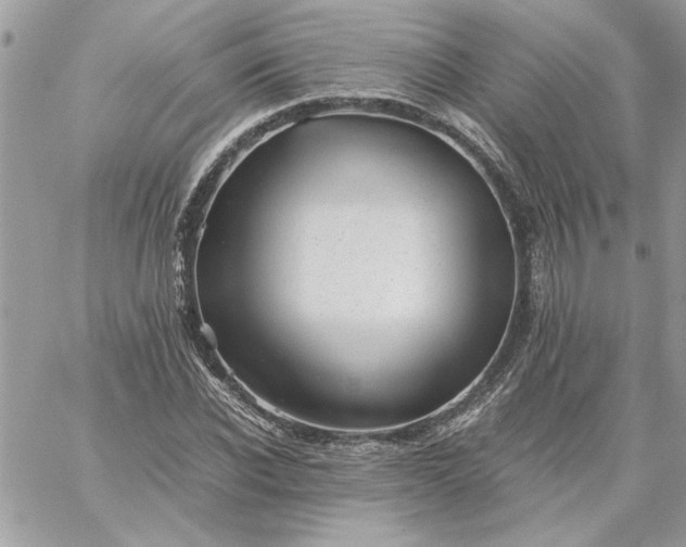 X0000059090926200510172051