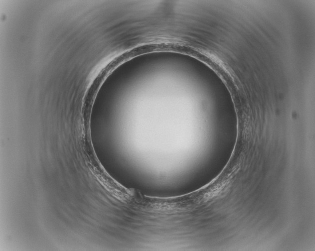 X0000059090927200510172051