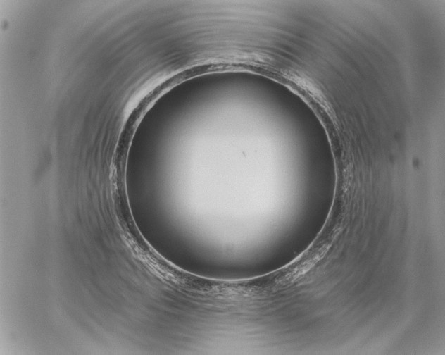 X0000059090928200510172051