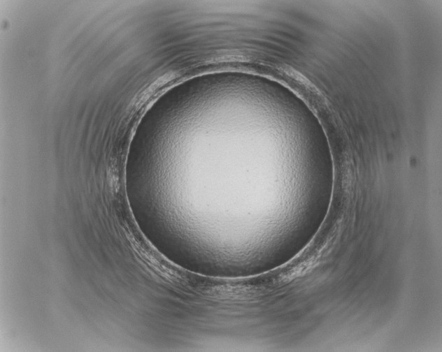 X0000059090929200510172051