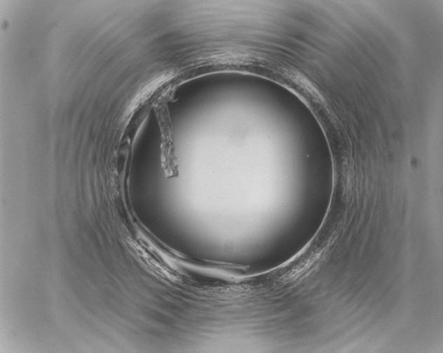 X0000059090930200510172051