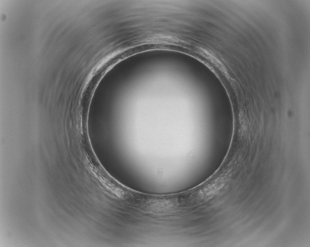 X0000059090931200510172051