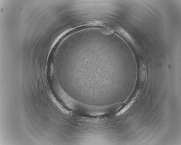 X0000059090932200510172051