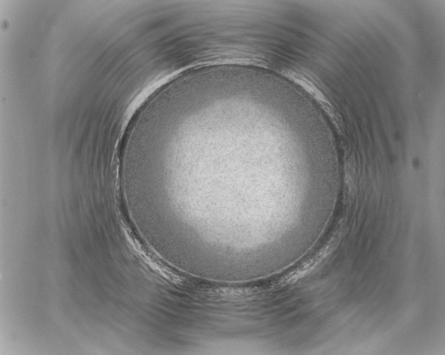 X0000059090933200510172051