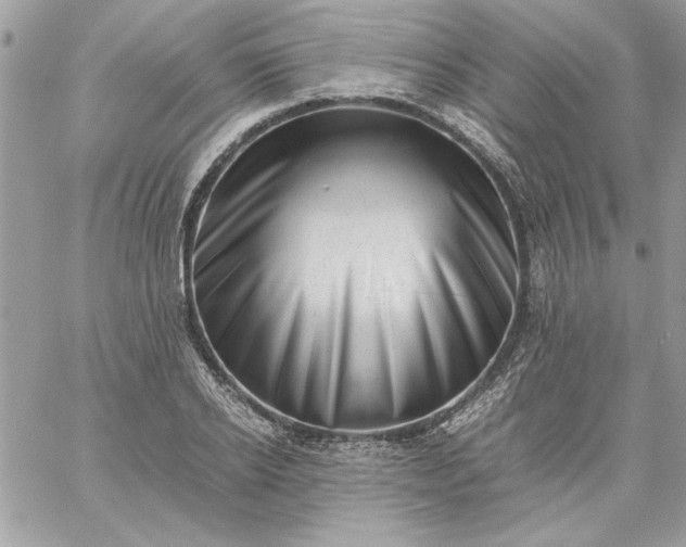 X0000059090934200510172051