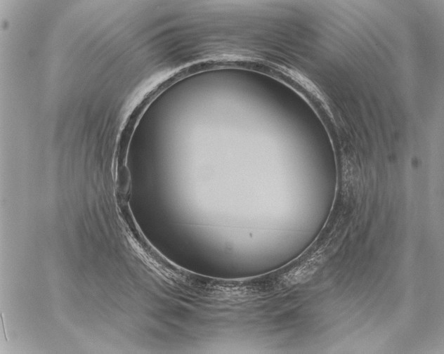 X0000059090935200510172051