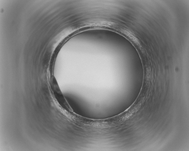 X0000059090936200510172051