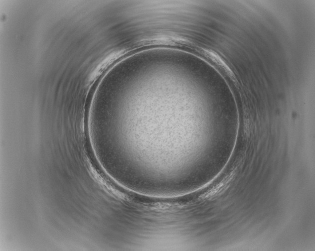 X0000059090938200510172051