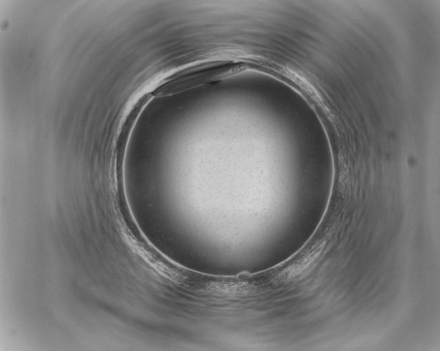 X0000059090939200510172051