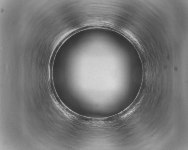 X0000059090940200510172051