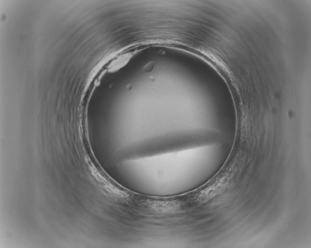 X0000059090941200510172051