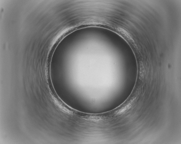 X0000059090942200510172051