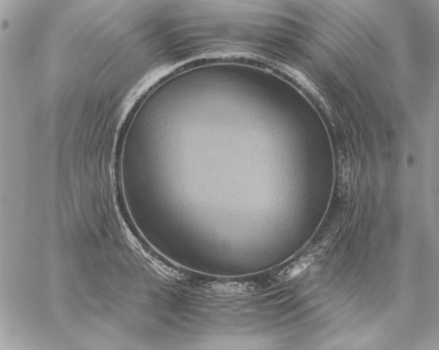 X0000059090943200510172051