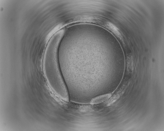 X0000059090944200510172051